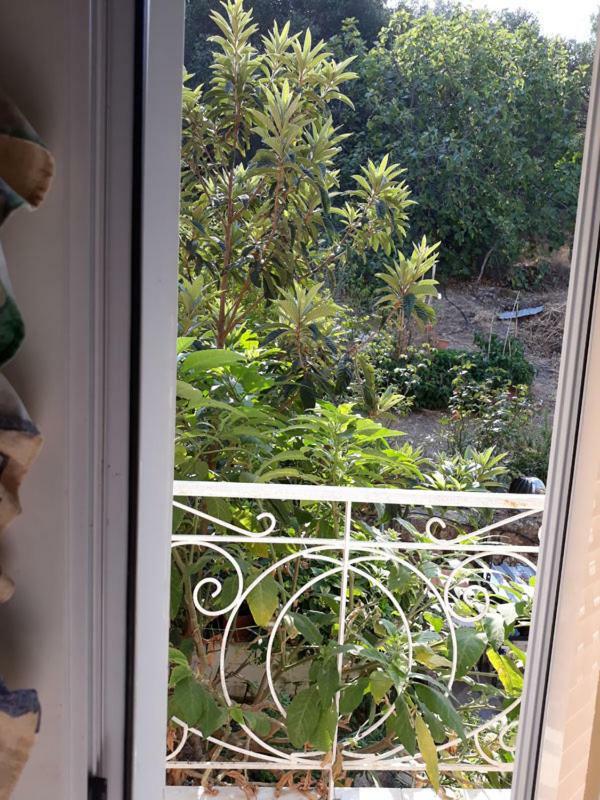 Villa Victoria Corfu Ágios Matthaíos Buitenkant foto